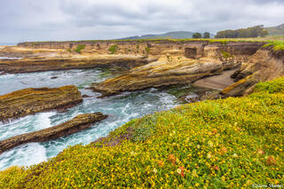 Montana de Oro Scene
