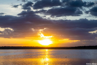 Ndutu Lake Sunset