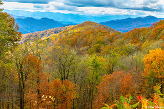 North Carolina Fall Colors