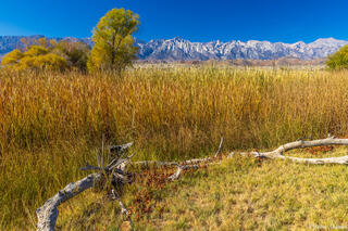 Owens River Lone Pine