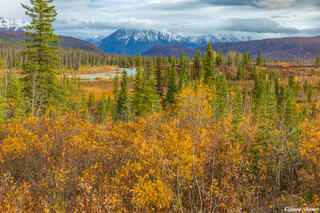 Parks Highway Mountains