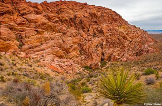 Red Rock Canyon