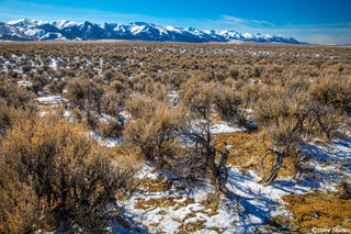 Reese River Valley