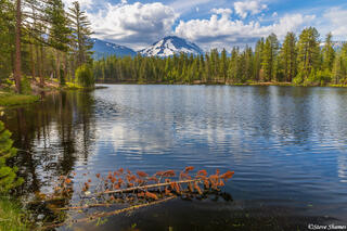 Reflection Lake Scene