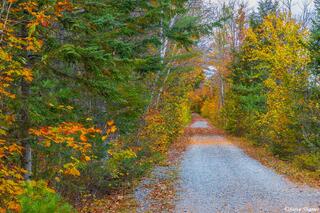 Ricker Pond Trail Vermont