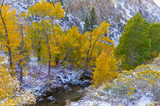 Rush Creek Fall Colors