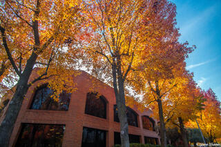 Sacramento County Fall Colors