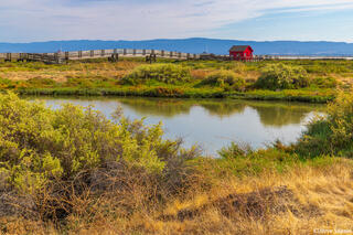San Francisco Bay Tidelands Trail