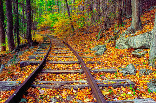 Shenandoah Railroad Tracks