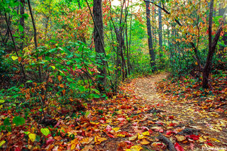 Shenandoah-trail