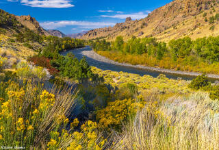 Shoshone River View