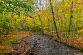 Smugglers Notch State Park