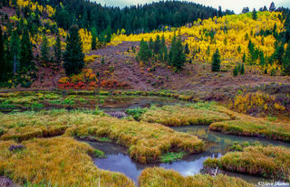Snake River Canyon