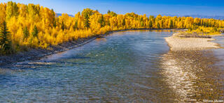 Snake River Fall Colors