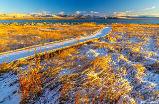 Snowy Boardwalk