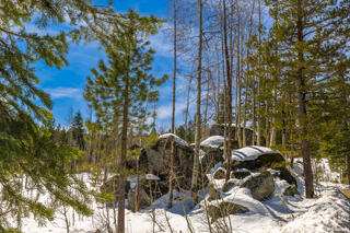 Snowy Rocks