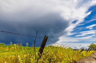 Springtime Dark Clouds