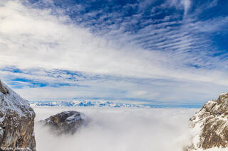 Swiss Alps View