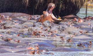 Tanzania-Yawning Hippo