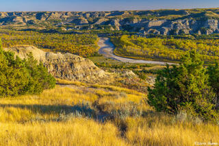 Teddy Roosevelt National Park