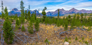 The Sawtooth Mountains