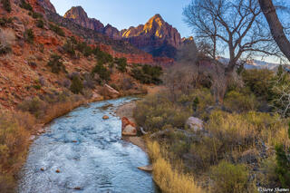The Watchman Zion