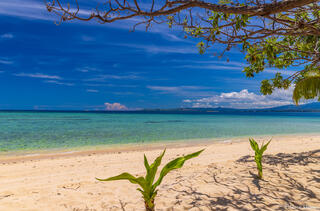 Turquoise Waters
