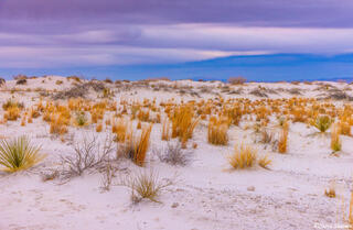Twilight At White Sands