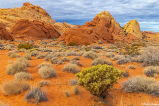 Valley of Fire Nevada