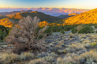 White Mountains Sunrise
