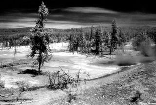 Yellowstone Scene Infrared