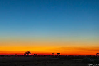 Zambia-Kafue National Park Sunset
