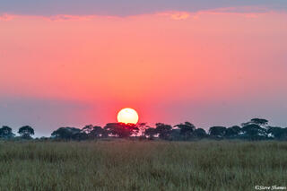 Zambia-Kafue Sunrise