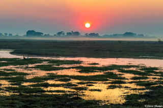 Zambia-Sunrise Over Marsh