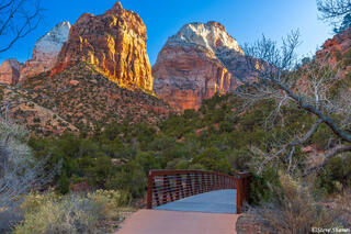 Zion National Park Walking Bridge