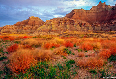 Morning in The Badlands
