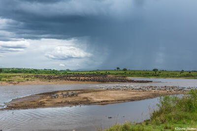 African-Mara River Scene