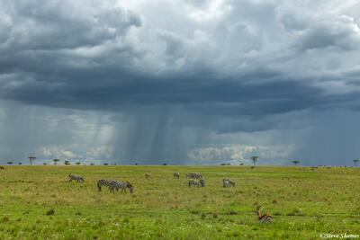 African-Rainstorm Approaching