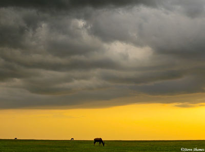 African Sunset at Masai Mara