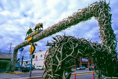 Afton Antler Arch