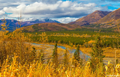 Alaska Creek Scene