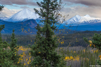 Alaska Snow Covered Mountains