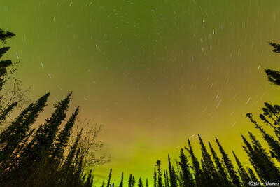 Alaska Star Picture