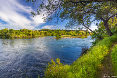 American River View
