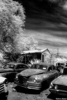Backyard Junkyard
