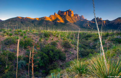 Big Bend Sunset