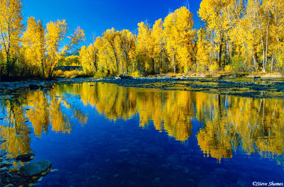 Big Wood River Reflection