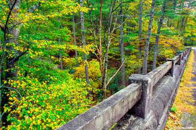 Blue Ridge Bridge