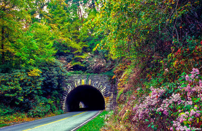 Blue Ridge Tunnel