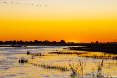 Botswana-Chobe River Sunset